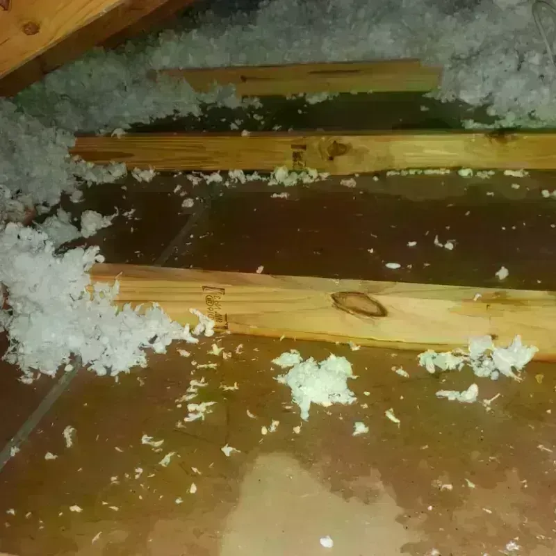 Attic Water Damage in Shelton, WA