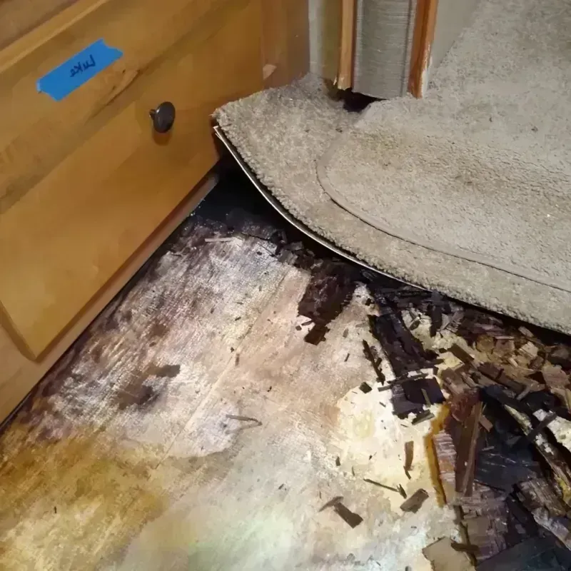 Wood Floor Water Damage in Shelton, WA